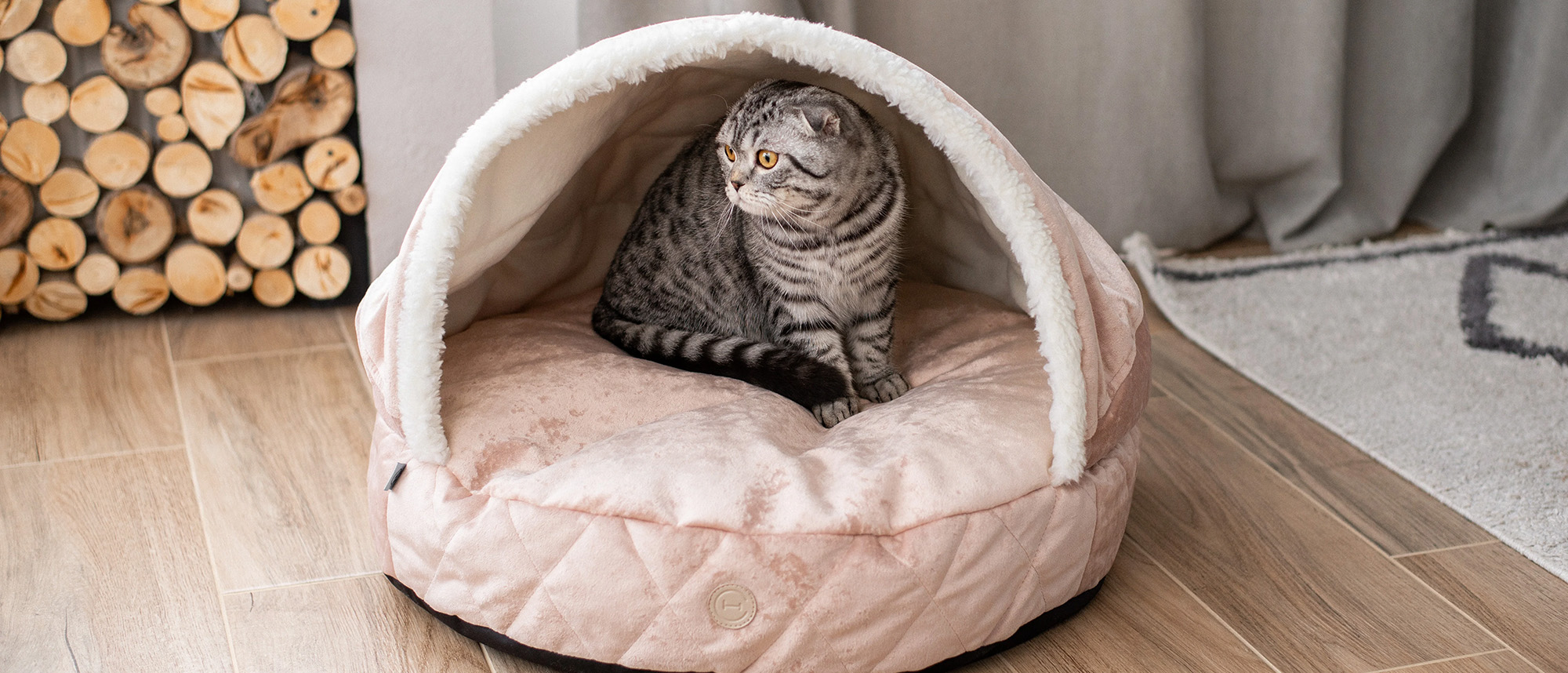 Cat Supplies Sale -Cat Supplies Sale 1