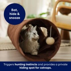 Frisco 47-in Foldable Crinkle Play Tunnel With 2 Windows -Cat Supplies Sale 140168 PT3. AC SS1800 V1695241917