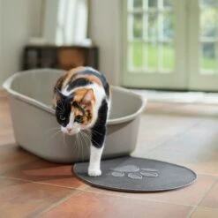 Frisco High Back Cat Litter Box, Extra Large