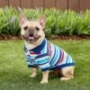 Frisco Striped Dog & Cat Polo Shirt, Red & Blue