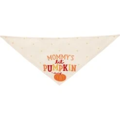 Frisco Mommy's Lil Pumpkin Dog & Cat Bandana -Cat Supplies Sale 158936 PT3. AC SS1800 V1689628812