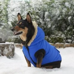 Frisco Heavyweight Anchorage Insulated Dog & Cat Parka -Cat Supplies Sale 160250 PT7. AC SS1800 V1567011259