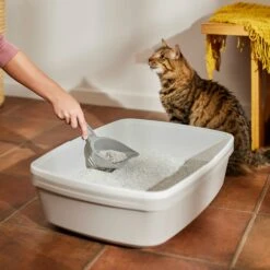 Frisco Multi-Cat Baking Soda Unscented Clumping Clay Cat Litter -Cat Supplies Sale 161460 PT4. AC SS1800 V1659023516