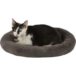 Frisco Self Warming Bolster Round Kitten Bed -Cat Supplies Sale 165315 PT2. AC SS1800 V1568211141