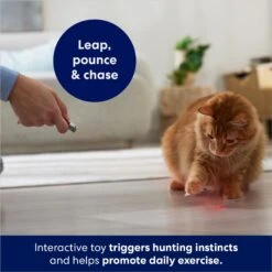 Frisco 2-in-1 Laser & LED Light Laser Cat Toy -Cat Supplies Sale 166309 PT3. AC SS1800 V1686579688