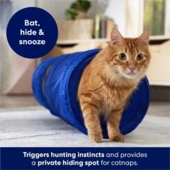 Frisco Foldable Play Tunnel With Mesh Cat Toy -Cat Supplies Sale 166385 PT2. AC SS1800 V1686580143