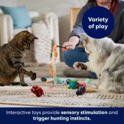 Frisco Plush, Teaser & Ball Variety Pack Cat Toy With Catnip -Cat Supplies Sale 169686 PT5. AC SS1800 V1691783971