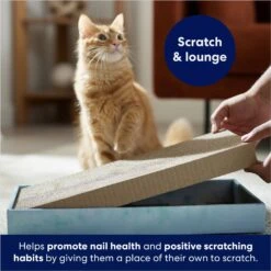 Frisco Double-Wide Cat Scratcher Toy Refill With Catnip, 2 Count -Cat Supplies Sale 174800 PT3. AC SS1800 V1678723850