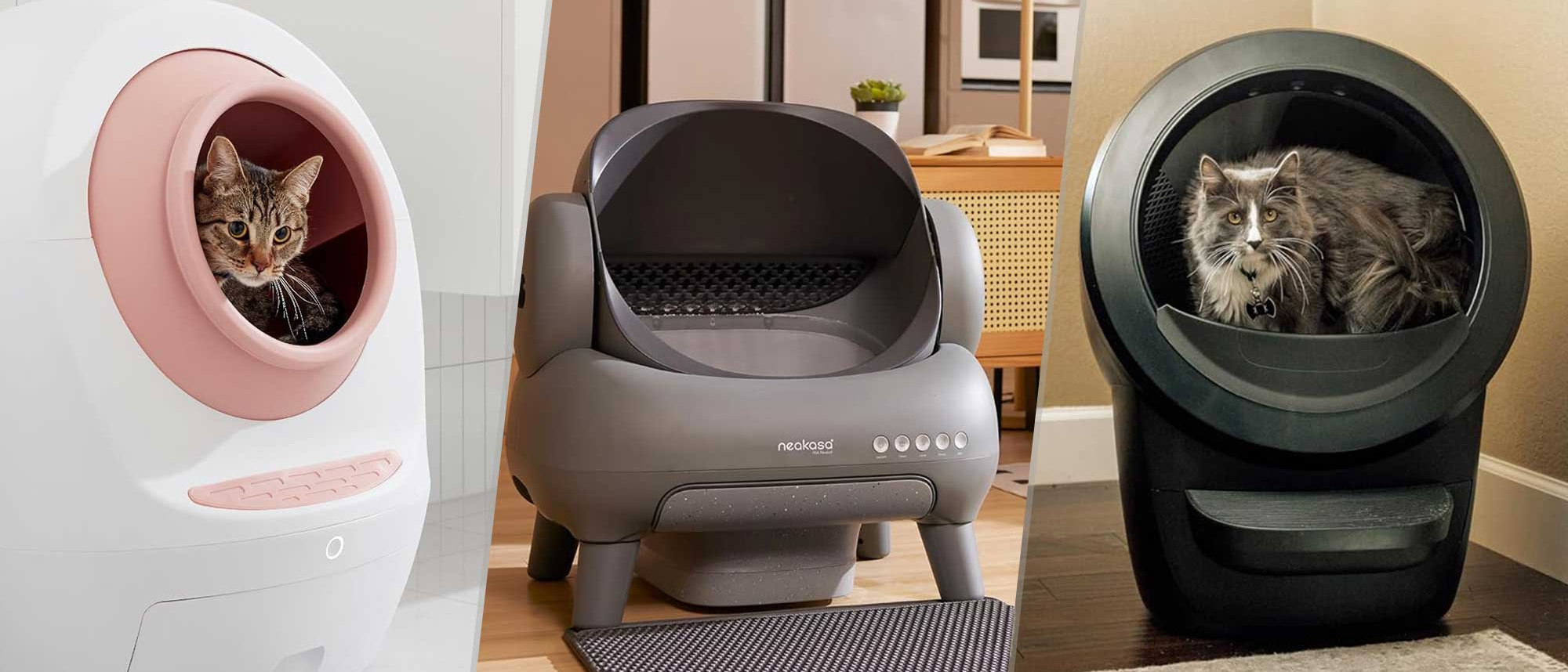 Cat Supplies Sale -Cat Supplies Sale 2