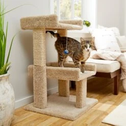 Featured Products 5 Frisco 32-in Real Carpet Wooden Cat Tree With Toy