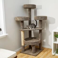 Featured Products 7 Frisco 65-in Real Carpet Scratch And Lounge Cat Tree
