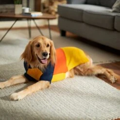 Frisco Colorblock Dog & Cat Turtleneck Sweater With Sleeves -Cat Supplies Sale 223819 PT7. AC SS1800 V1599922008