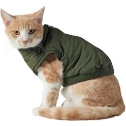 Frisco Lightweight Insulated Bomber Dog & Cat Jacket -Cat Supplies Sale 223914 PT2. AC SS1800 V1599480960