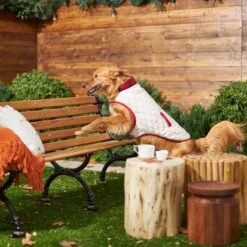 Frisco Quilted Water-Resistant Reversible Insulated Dog & Cat Jacket -Cat Supplies Sale 223922 PT7. AC SS1800 V1601579158