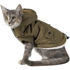 Frisco Mid-Heavyweight Love Insulated Dog & Cat Coat -Cat Supplies Sale 224034 PT2. AC SS1800 V1599498998