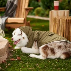 Frisco Mid-Heavyweight Love Insulated Dog & Cat Coat -Cat Supplies Sale 224034 PT7. AC SS1800 V1601578266