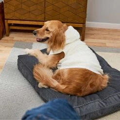 Frisco Plush Fur Dog & Cat Hoodie -Cat Supplies Sale 224209 PT7. AC SS1800 V1637685435