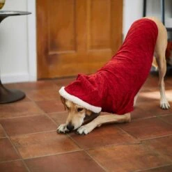 Frisco Textured Knit Dog & Cat Hoodie -Cat Supplies Sale 224233 PT6. AC SS1800 V1637729542