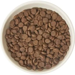 Frisco Double-Sided Ceramic Elevated Cat Bowl 9 Frisco Double-Sided Ceramic Elevated Cat Bowl -Cat Supplies Sale 232081 PT3. AC SS1800 V1605145964