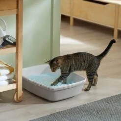 Frisco Micro Crystal Unscented Non-Clumping Crystal Cat Litter -Cat Supplies Sale 232121 PT4. AC SS1800 V1659546416