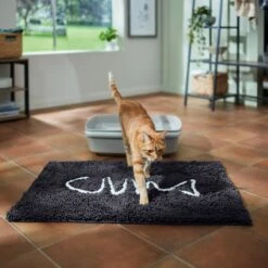 Frisco Microfiber Chenille Fish Bone Litter Mat 9 Frisco Microfiber Chenille Fish Bone Litter Mat -Cat Supplies Sale 236242 PT3. AC SS1800 V1676556249