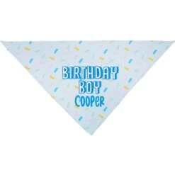 Frisco Birthday Boy Personalized Dog & Cat Bandana -Cat Supplies Sale 238329 PT3. AC SS1800 V1618511828