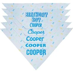 Frisco Birthday Boy Personalized Dog & Cat Bandana -Cat Supplies Sale 238329 PT4. AC SS1800 V1618511578