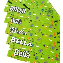 Frisco Halloween Boo! Personalized Dog & Cat Bandana -Cat Supplies Sale 244583 PT4. AC SS1800 V1618508254