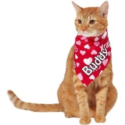 Frisco XOXO Hearts Personalized Dog & Cat Bandana 16 Frisco XOXO Hearts Personalized Dog & Cat Bandana -Cat Supplies Sale 254203 PT7. AC SS1800 V1632417974