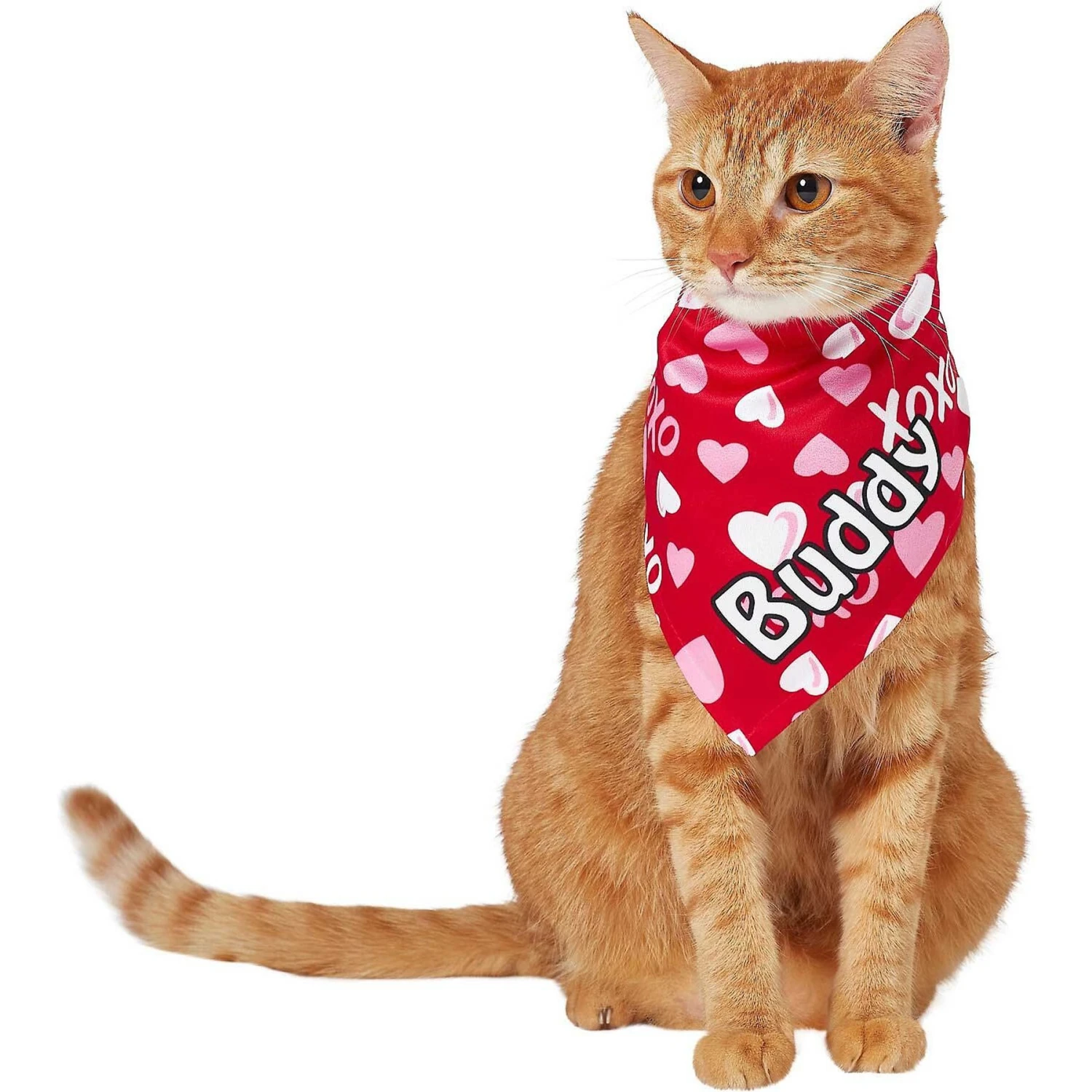 Frisco XOXO Hearts Personalized Dog & Cat Bandana 8 Frisco XOXO Hearts Personalized Dog & Cat Bandana - Image 8