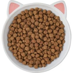 Frisco Cat Face Non-skid Ceramic Cat Dish 9 Frisco Cat Face Non-skid Ceramic Cat Dish -Cat Supplies Sale 256105 PT5. AC SS1800 V1615321295