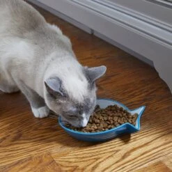 Frisco Fish Shaped Non-skid Ceramic Cat Dish -Cat Supplies Sale 256109 PT3. AC SS1800 V1617196297