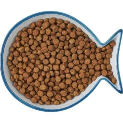 Frisco Fish Shaped Non-skid Ceramic Cat Dish -Cat Supplies Sale 256109 PT6. AC SS1800 V1617196895