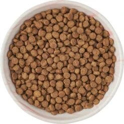 Frisco Marble Design Non-skid Ceramic Cat Dish -Cat Supplies Sale 256127 PT5. AC SS1800 V1615321285