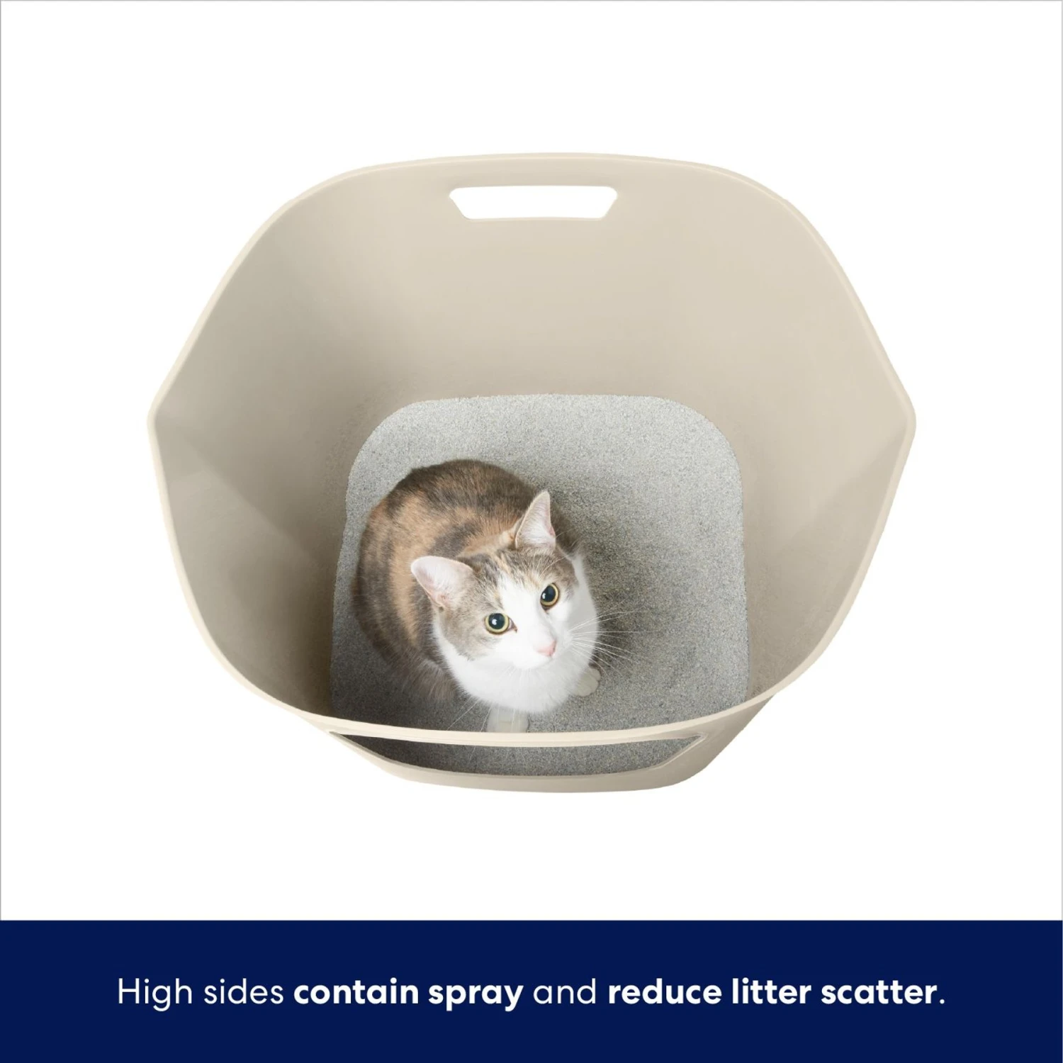 Frisco Leaf High-Sided Cat Litter Box, Large 3 Frisco Leaf High-Sided Cat Litter Box, Large - Image 3