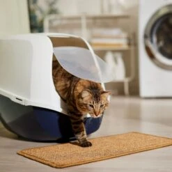 Frisco Sisal Mat -Cat Supplies Sale 259250 PT3. AC SS1800 V1675279993