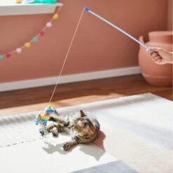 Frisco Pinata Teaser Wand Cat Toy With Catnip -Cat Supplies Sale 264446 PT3. AC SS1800 V1618948636