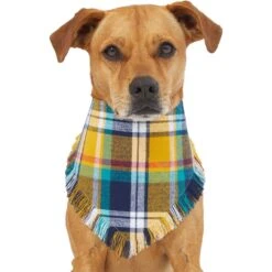 Frisco Blue/Yellow Plaid Dog & Cat Flannel Bandana -Cat Supplies Sale 267901 PT2. AC SS1800 V1637717796