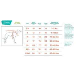 Cat Supplies Sale -Cat Supplies Sale 268320 PT1. AC SS1800 V1628633220