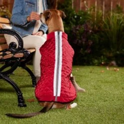 Frisco Mediumweight Reflective 2-in-1 Dog & Cat Fleece Coat -Cat Supplies Sale 268359 PT8. AC SS1800 V1629759326