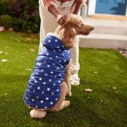 Frisco Mediumweight Metallic Star Print Insulated Dog & Cat Parka, Navy -Cat Supplies Sale 268413 PT8. AC SS1800 V1629757357
