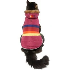 Frisco Mediumweight Colorblock Adventure Insulated Dog & Cat Parka 9 Frisco Mediumweight Colorblock Adventure Insulated Dog & Cat Parka -Cat Supplies Sale 268421 PT2. AC SS1800 V1628779779