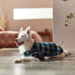 Frisco Multi-Plaid Dog & Cat Flannel Shirt -Cat Supplies Sale 268588 PT8. AC SS1800 V1629755804