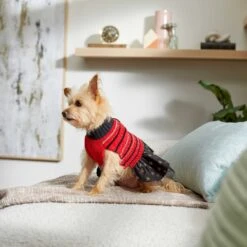 Frisco Chenille Knit Striped Dog & Cat Dress -Cat Supplies Sale 268668 PT5. AC SS1800 V1637675198