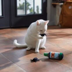 Frisco Camping Bug Spray Plush Cat Toy With Catnip, 3 Count -Cat Supplies Sale 270969 PT3. AC SS1800 V1625009346