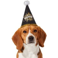 Frisco Happy New Year Dog & Cat Hat -Cat Supplies Sale 276190 PT2. AC SS1800 V1631303599