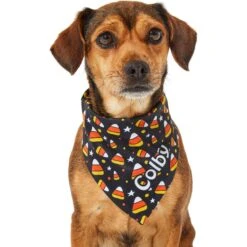 Frisco Candy Corn Personalized Dog & Cat Bandana -Cat Supplies Sale 287056 PT6. AC SS1800 V1623246504