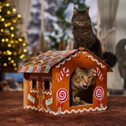 Frisco Holiday Gingerbread House Cardboard Cat House Cat Toy -Cat Supplies Sale 287289 PT4. AC SS1800 V1694813217
