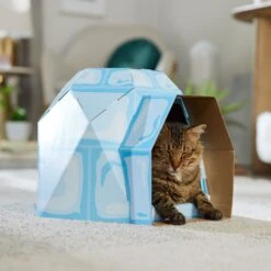 Frisco Igloo Cardboard Cat House 10 Frisco Igloo Cardboard Cat House -Cat Supplies Sale 287293 PT4. AC SS1800 V1692035193