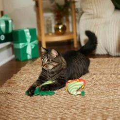 Frisco Holiday Elf Legs & Hat Plush Cat Toy With Catnip, 2 Count -Cat Supplies Sale 287365 PT3. AC SS1800 V1632776685